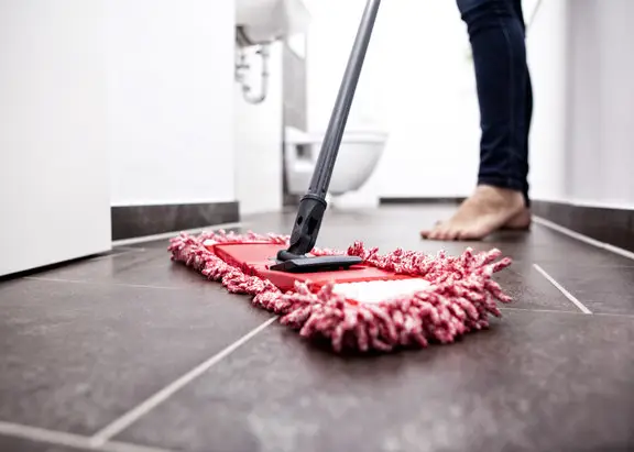 التدبير المنزلي مصطلح يشير إلى إدارة الواجبات والأعمال المنزلية المرتبطة بإدارة المنزل، مثل التنظيف والطهي صيانة المنزل والتسوق وغسيل الملابس ودفع الفواتير.