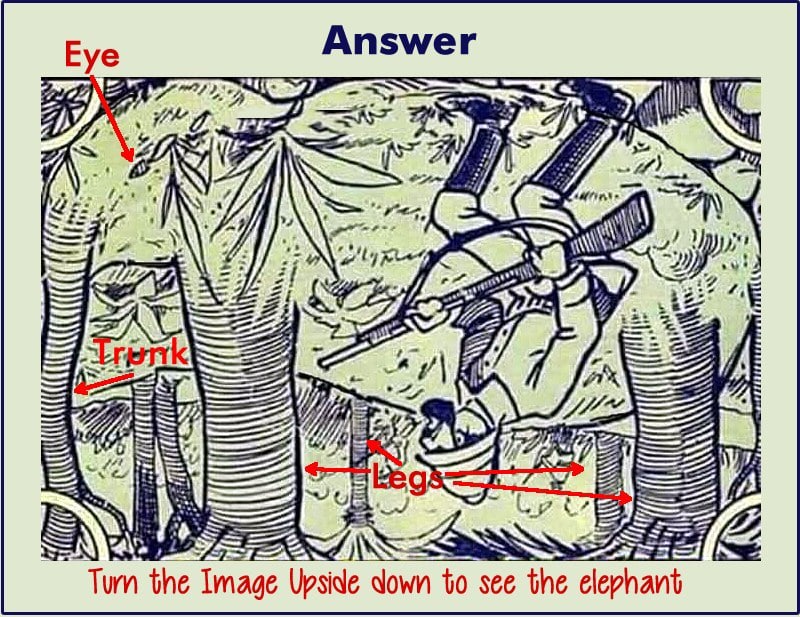 picture riddle can you see the elephant answer