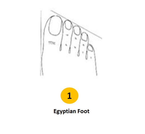 هل تساءلت عما يمكن أن يكشفه شكل قدمك عن شخصيتك؟ لدينا جميعًا أشكال مختلفة من الأقدام والأصابع. كشفت الدراسات أنه يمكن تعلم الكثير عن شخصية الشخص من خلال شكل قدمه. نسرد أدناه الأنواع الأربعة الأساسية لأشكال القدم: شكل القدم المصري ، وشكل القدم الروماني ، وشكل القدم اليوناني ، وشكل القدم المربع.