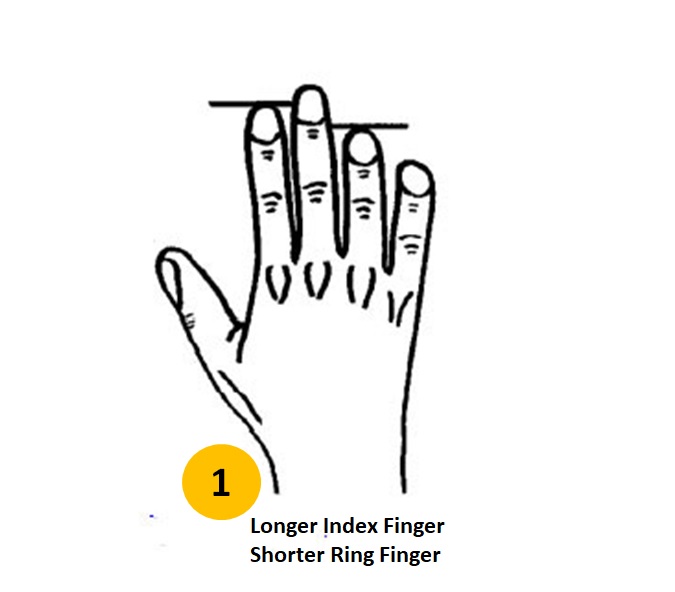 اختبار شخصية طول الأصابع : يعد طول أصابعك ميزة رائعة لدراسة شخصية الشخص. في البداية ، نفهم تشريح يدنا بدءًا من الإبهام والسبابة والإصبع الأوسط والبنصر والإصبع الصغير (المعروف أيضًا باسم الإصبع الخنصر).