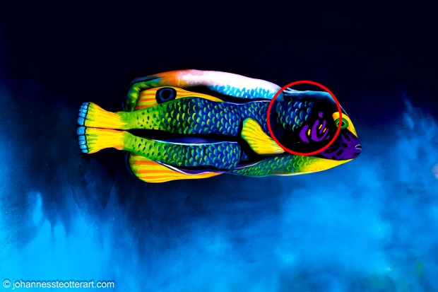 أنت بحاجة إلى عين حادة لاكتشاف السر الخفي في صورة سمكة ملونة.