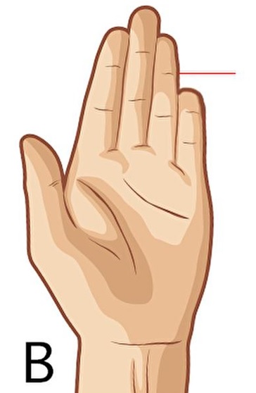 ما هو مدة إصبعك الخنصر؟ الاصبع الصغير أطول من البنصر؟ الاصبع الصغير أقصر من البنصر؟ ماذا يقول إصبعك الصغير عن شخصيتك؟ هل تعلم أن طول الإصبع الصغير يكشف سمات شخصيتك؟