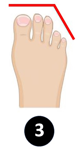 هل تعلم أن أصابع قدميك يمكن أن تكشف أيضًا عن سمات شخصيتك؟ ستجد هنا بعض الأفكار الرائعة حول الرابط بين طول أصابع قدمك وشخصيتك.