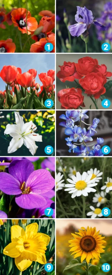 flower personality test