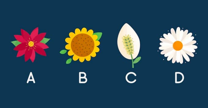 إذا كان عليك أن تتحول إلى واحدة من الزهور الأربعة بالشكل أدناه ، فأي واحدة ستختار؟