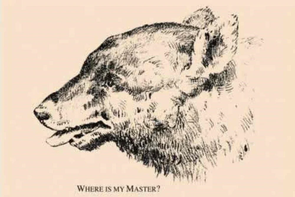 تم إنشاء هذا الوهم البصري في ثمانينيات القرن التاسع عشر ، وهو مضمون لإرباك أي مراقب. تخفي الصورة المرسومة لكلب وجه صاحبه ، لكن قلة من الناس يلاحظونها.