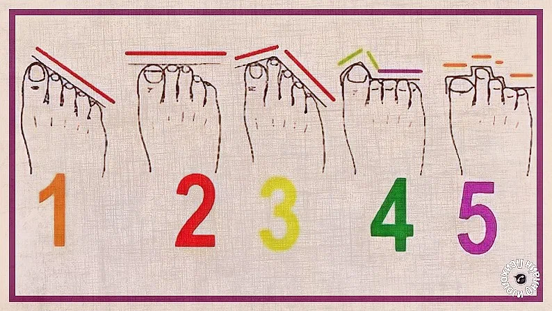 نقدم اختبارًا نفسيًا لتحديد طبيعة الشخص من خلال شكل أصابع قدمه.