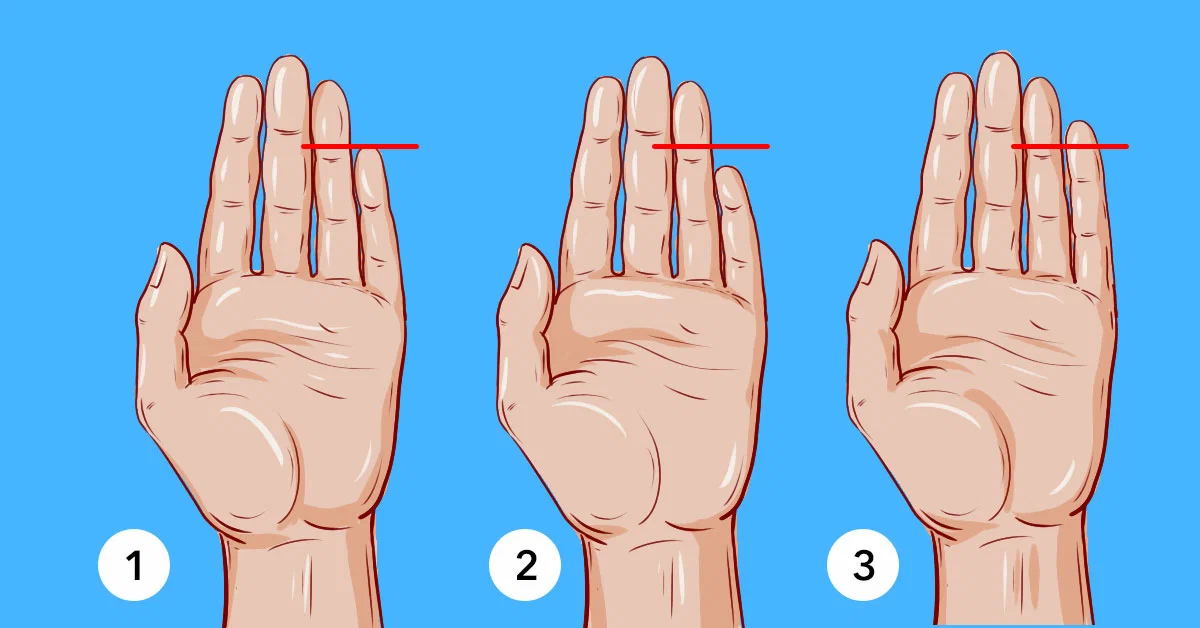 لا يتحدث طول أصابع اليدين فقط عن ميزات جسمنا. يمكن أن يشير أيضًا إلى سمات معينة لشخصية الشخص . من الممكن تحديد نقاط القوة لدى الشخص بطول الأصابع. تمكن علماء النفس من إثبات صحة هذه الملاحظات من خلال إجراء قدر كبير من الأبحاث.
