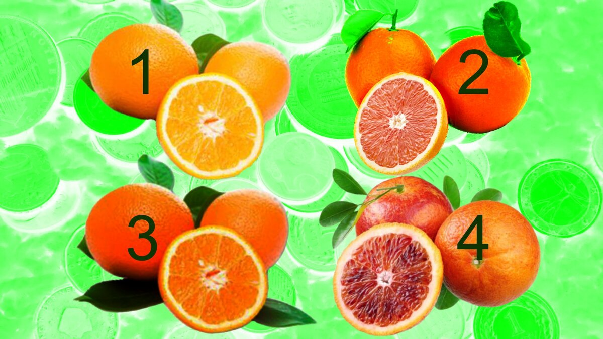 خط البرتقال. وفقًا لإحدى القصص: ساعد البرتقال ذات مرة سكان أوديسا في تطويرها كميناء. هل تريد التحقق من أن البرتقالة المختارة ستساعدك ليس فقط في اختيار الفيتامين، ولكن أيضًا في كيفية الوصول إلى ذروتك المالية؟