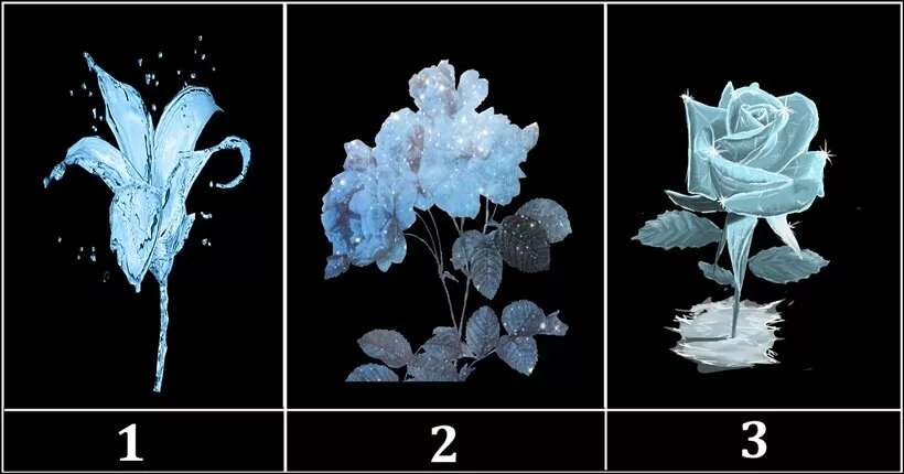 زهور الماس هي نباتات غير عادية وجميلة لها ظلال وأشكال مختلفة. يمكن أن تكشف الكثير عن شخصيتك، خاصة مدى نفاقك وكيف يمكنك التحسن. ندعوك في هذا المقال إلى اختيار أحد الألوان الماسية الثلاثة الموجودة في الصورة ومعرفة ما يقوله عنك.