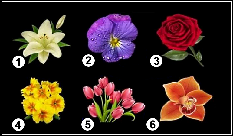 الزهور ليست فقط من أجمل الأشياء في الطبيعة، ولكن يمكن أن يكون لها أيضًا العديد من المعاني المختلفة. اعتمادًا على الخيار الذي تختاره، ستتمكن من معرفة كيف تنظر البيئة إليك.